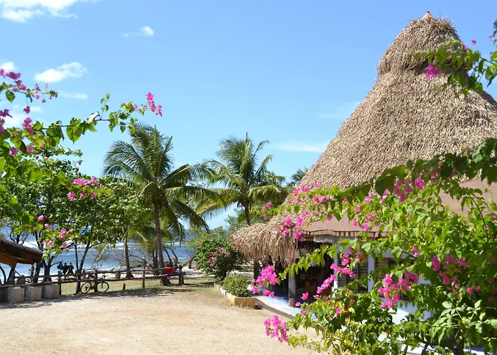 Hotel Playa Negra Playa Negra