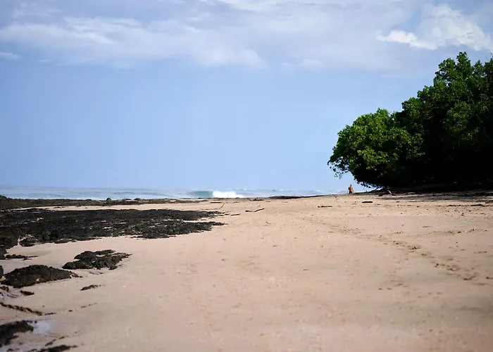 Hotel Playa Negra Hotel