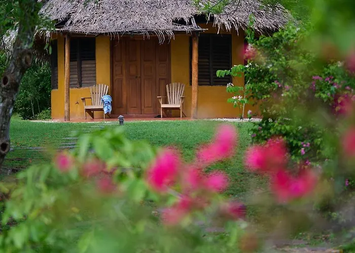 Hotel Hotel Playa Negra