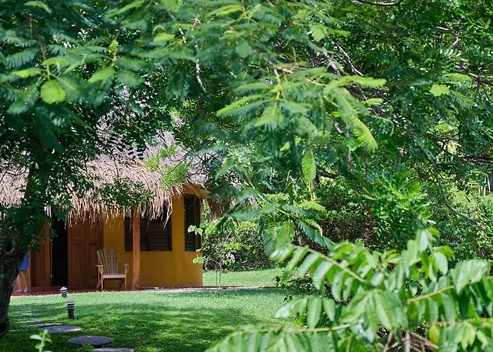 Hotel Hotel Playa Negra 3*
