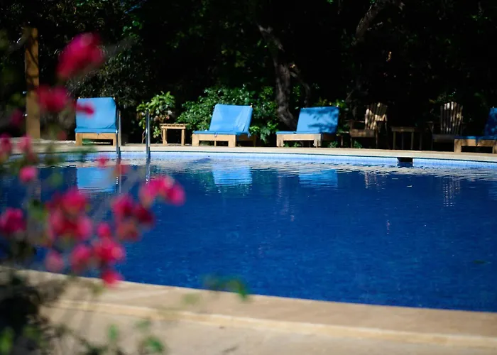 Hotel Hotel Playa Negra
