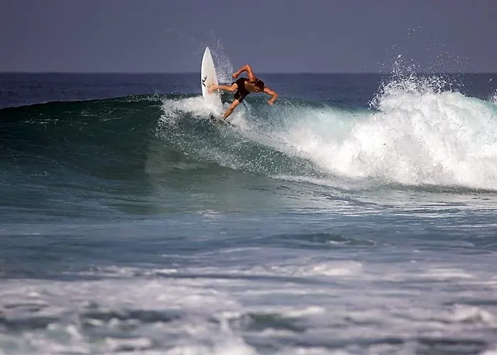Hotel Hotel Playa Negra 3*